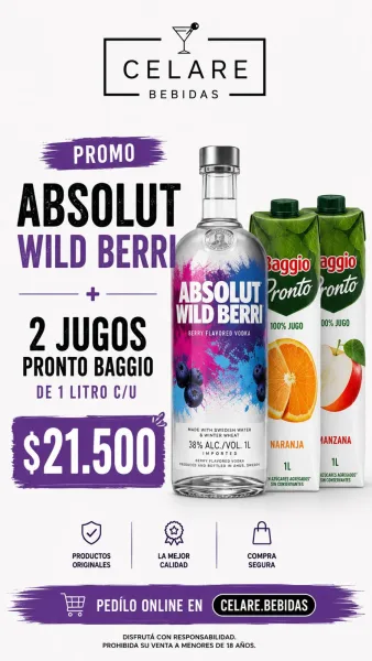 Absolut Wild Berri + Jugo Baggio lt